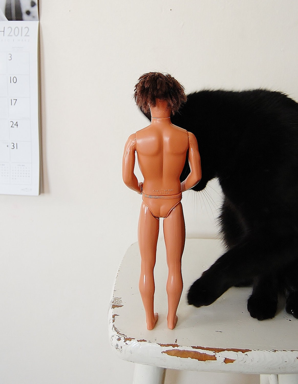 Ken Doll Brunette Hair Mattel Toy Free Cat Hair