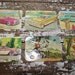 Vintage Cards Embossed Postcards Made in Germany