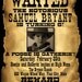 Wanted Poster Style Birthday Invitation - Digital File