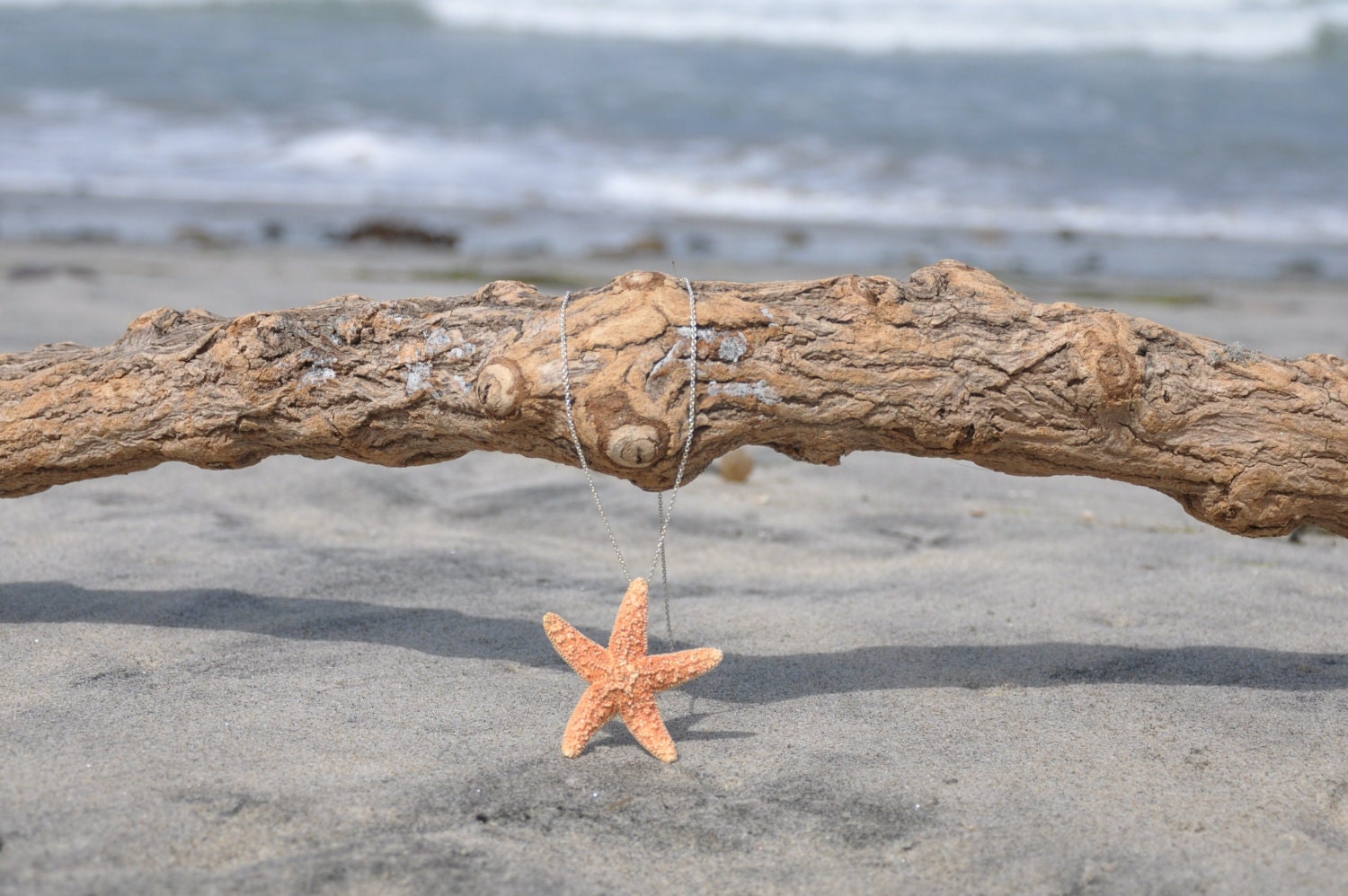 Starfish Necklace Real Starfish on Silver Chain