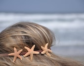 Triple Starfish Headband Three Starfish on Elastic Headband Hippie Headwrap - ShepherdoftheSea