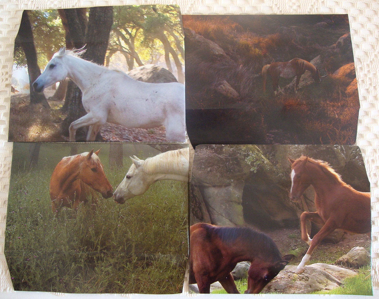4 Upcycled Horse Handmade Envelopes - Eco Friendly set made from old calendar pages