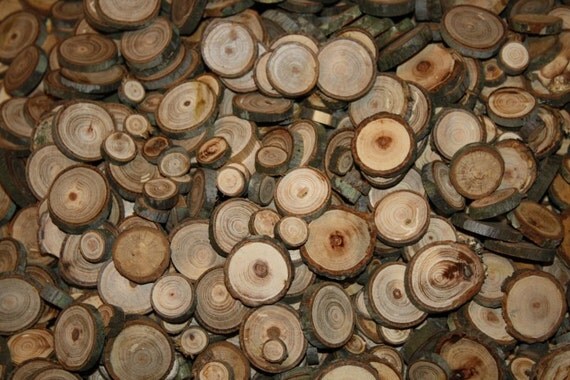 Items similar to Small wood slices for sale, wood rounds, tree slices