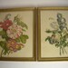 Vintage Framed Botanical Prints