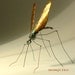 mosquito metal sculpture