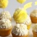 Tissue Pom-Pom Cupcake Toppers (Set of 12)