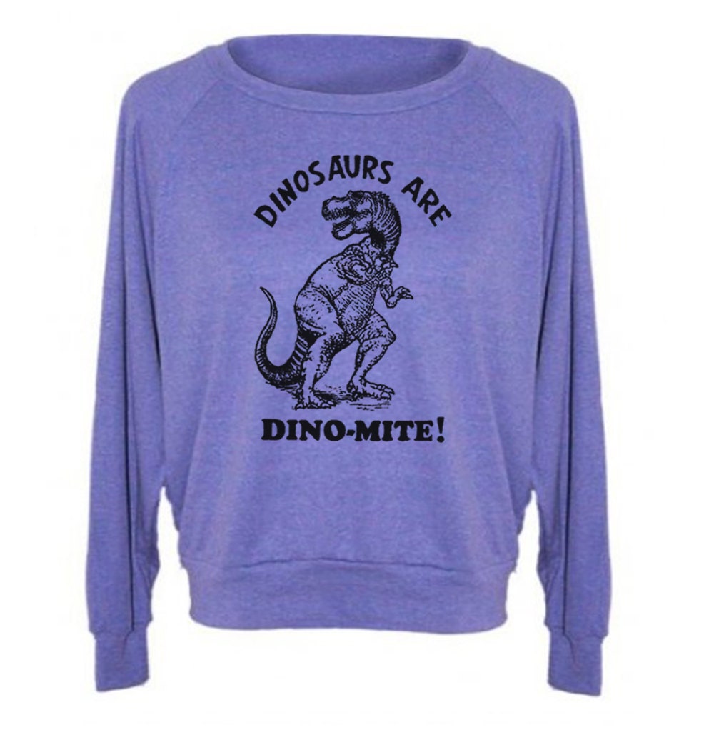 Womens Sweatshirt Dinosaurs Are Dinomite Tri-Blend Raglan Pullover - American Apparel - S M and L (8 Color Options)