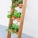 Cedar Leaning Planter - Double Rows