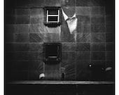 36"x36" square format photographic print