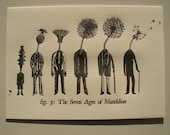 A4 Letterpress Print- The Seven Ages of Mandelion - Dandelion Letterpress Print- Unique Literary Gift