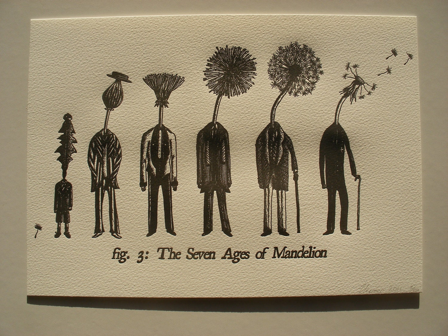 A4 Letterpress Print- The Seven Ages of Mandelion - Dandelion Letterpress Print- Unique Literary Gift