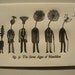 A4 Letterpress Print- The Seven Ages of Mandelion - Dandelion Letterpress Print- Unique Literary Gift