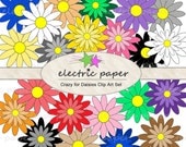 Daisy Flower clip art - 22 Daisy Clip Art Images