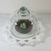 Vintage Milk Glass Plate Lace Rim Glass Dome Display Specimen