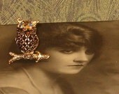 Vintage Owl Pin, Owl on Branch, Blue Rhinestone Eyes 1.25"H, Gold Tone, 1970's