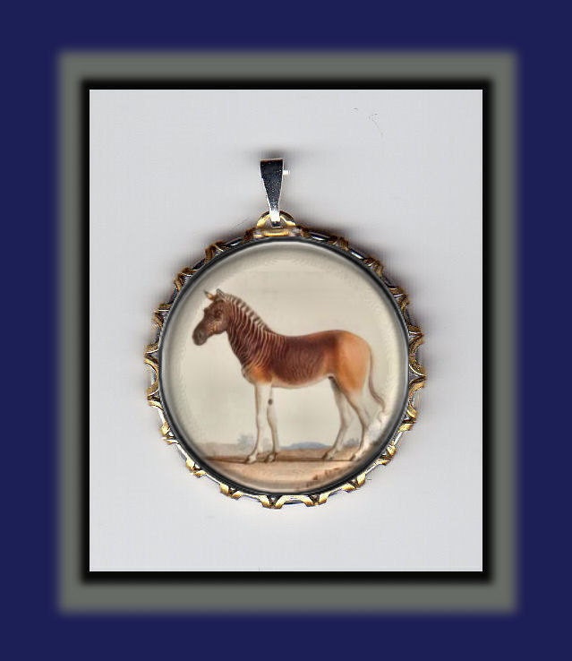 Quagga Extinct Animal Art Brass Charm