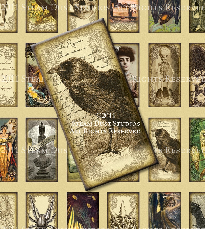 Victorian/Goth/Poe/Lovecraft/Skulls/Vampire Bats, Skeletons & more - 1x2 inch Domino Tile Images - Digital Collage Sheet