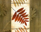 Leaf Study Panel I  12x24""