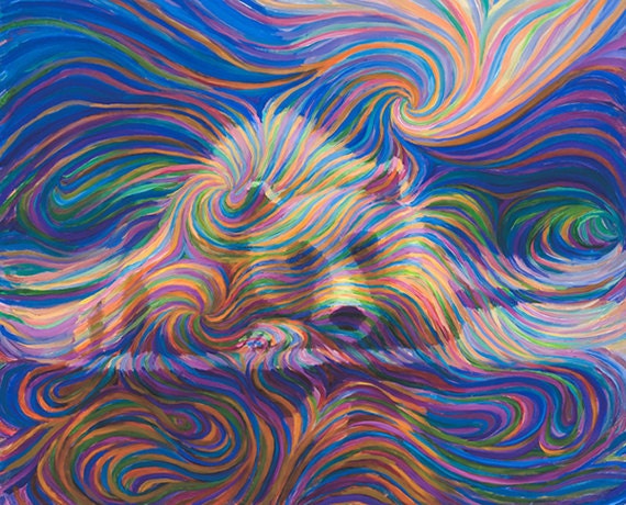Medicine Bear