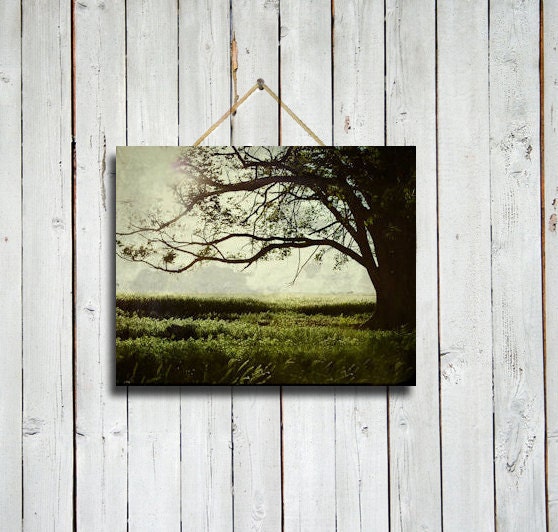 The Reading Tree - 8x10 Print - Tree wall decor- Tree wall art - Green wall decor - Green wall art.