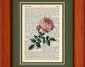 Dictionary Art Print - Vintage Pink Cabbage Rose - 6 3/4" x 9 3/4" - Art Print on Upcycled Dictionary Page
