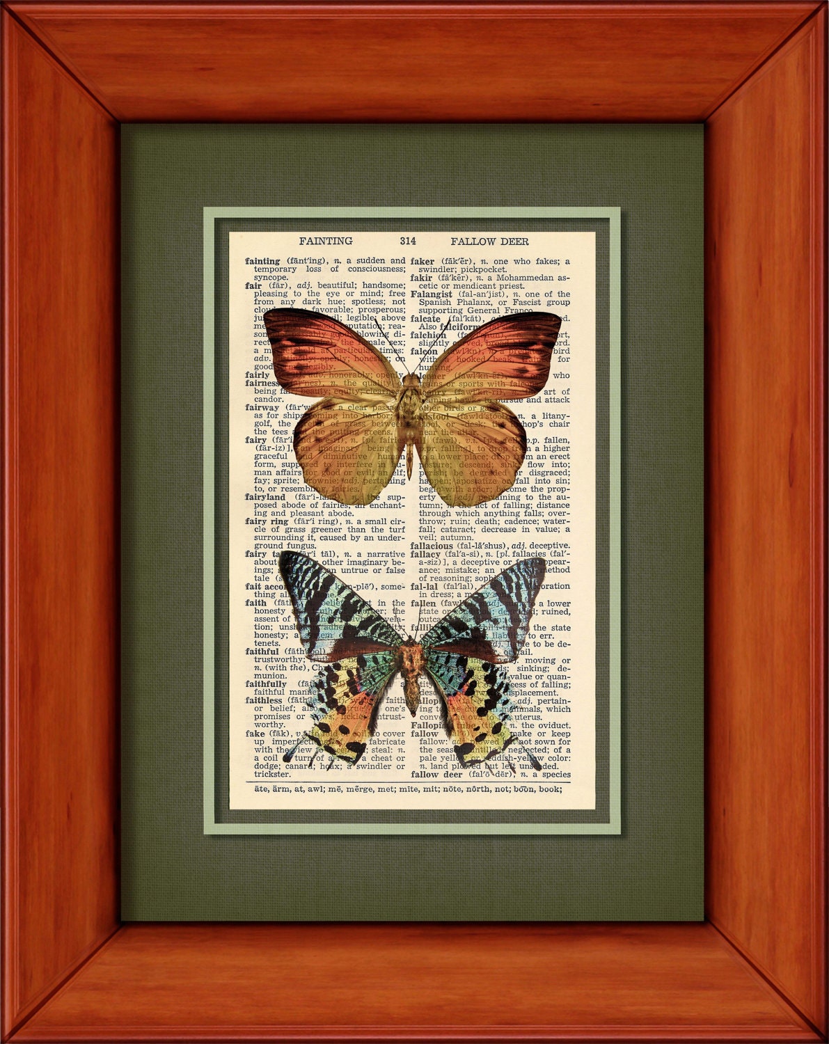 Dictionary Print - Orange Butterfly And Rainbow Tailed Moth - 6 3/4" x 9 3/4" Vintage Dictionary Art Print