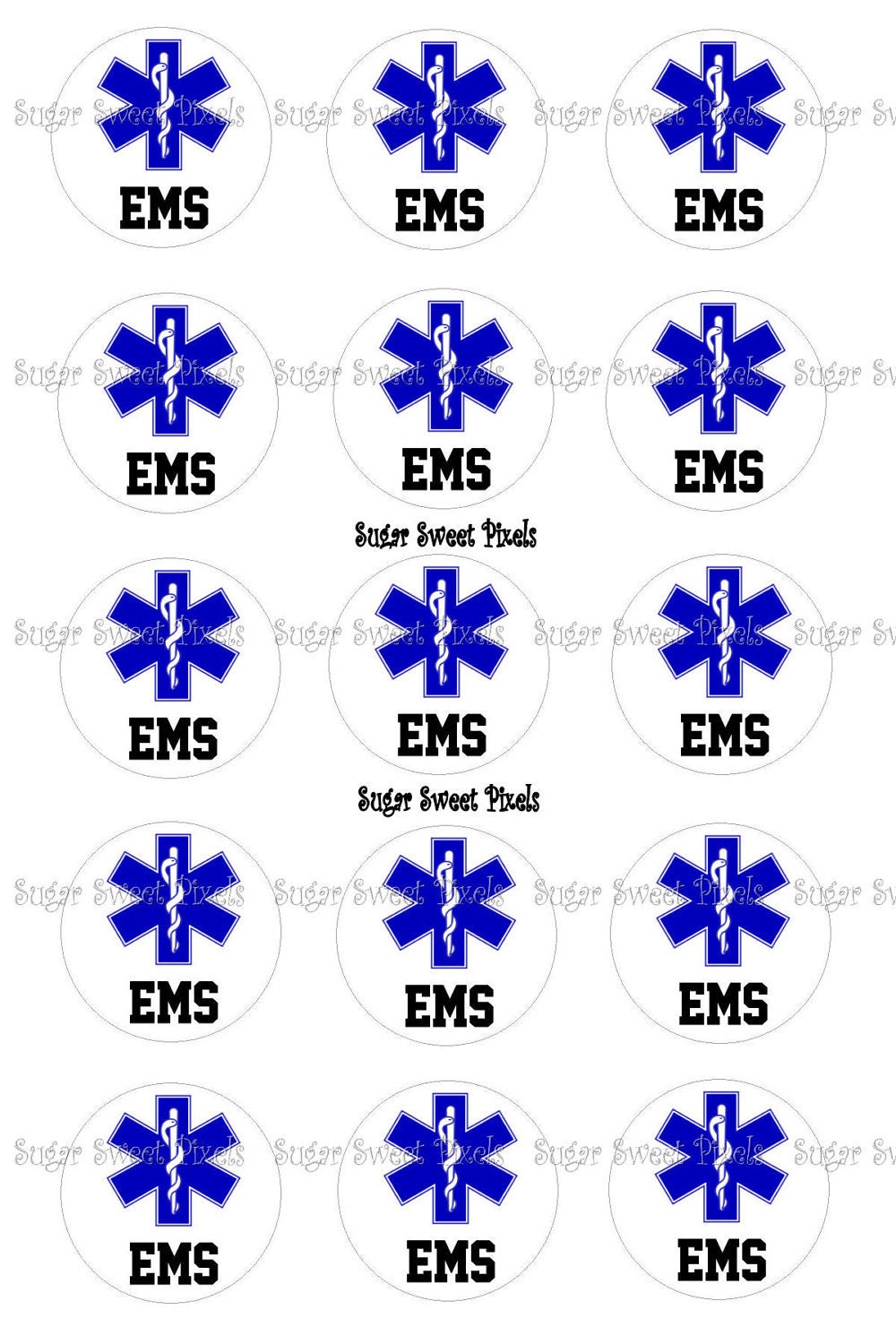 ems emblem