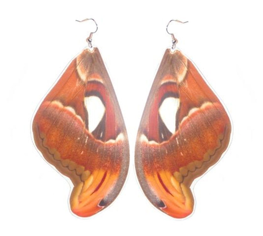 REAL moth wing earrings - Attacus Atlas