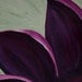 Purple and pink flower on green acrylic painting on canvas