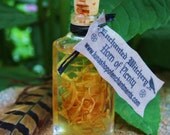 Horn of Plenty. Enchanted Witchery Oil. Invoke Abundance of Luck, Prosperity, Happiness  Mabon Ritual. Candle Magick Witch Bottle