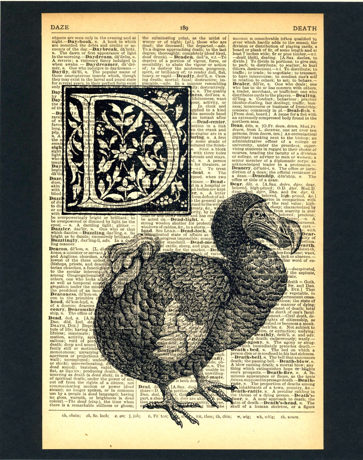 D is for Dodo Dictionary Print