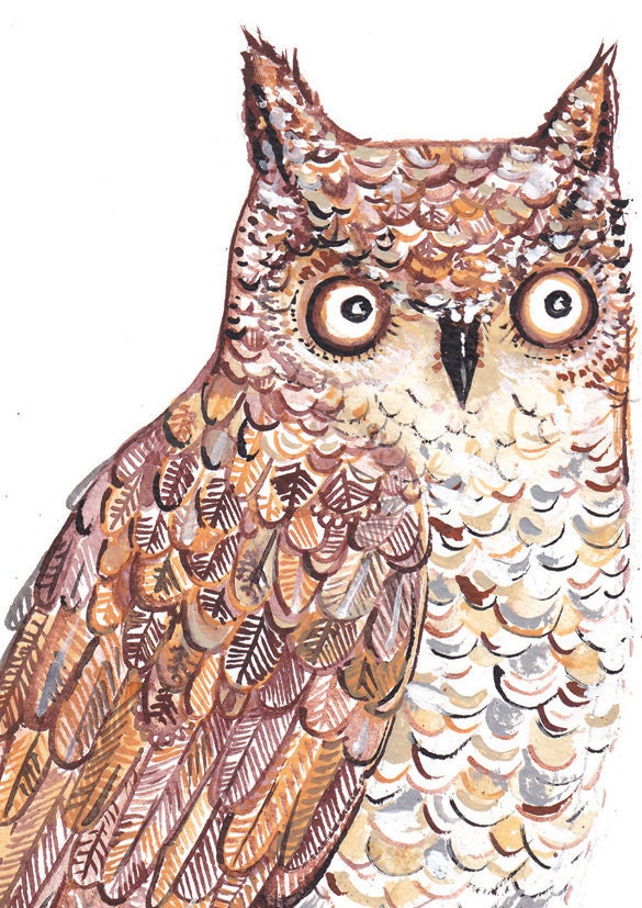 Curious Owl