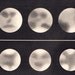 Astronomy Plate Jupiter Satellites Vintage 1940s