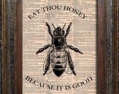 Dictionary Art Print , BEE, Vintage Print on Dictionary Page 0138