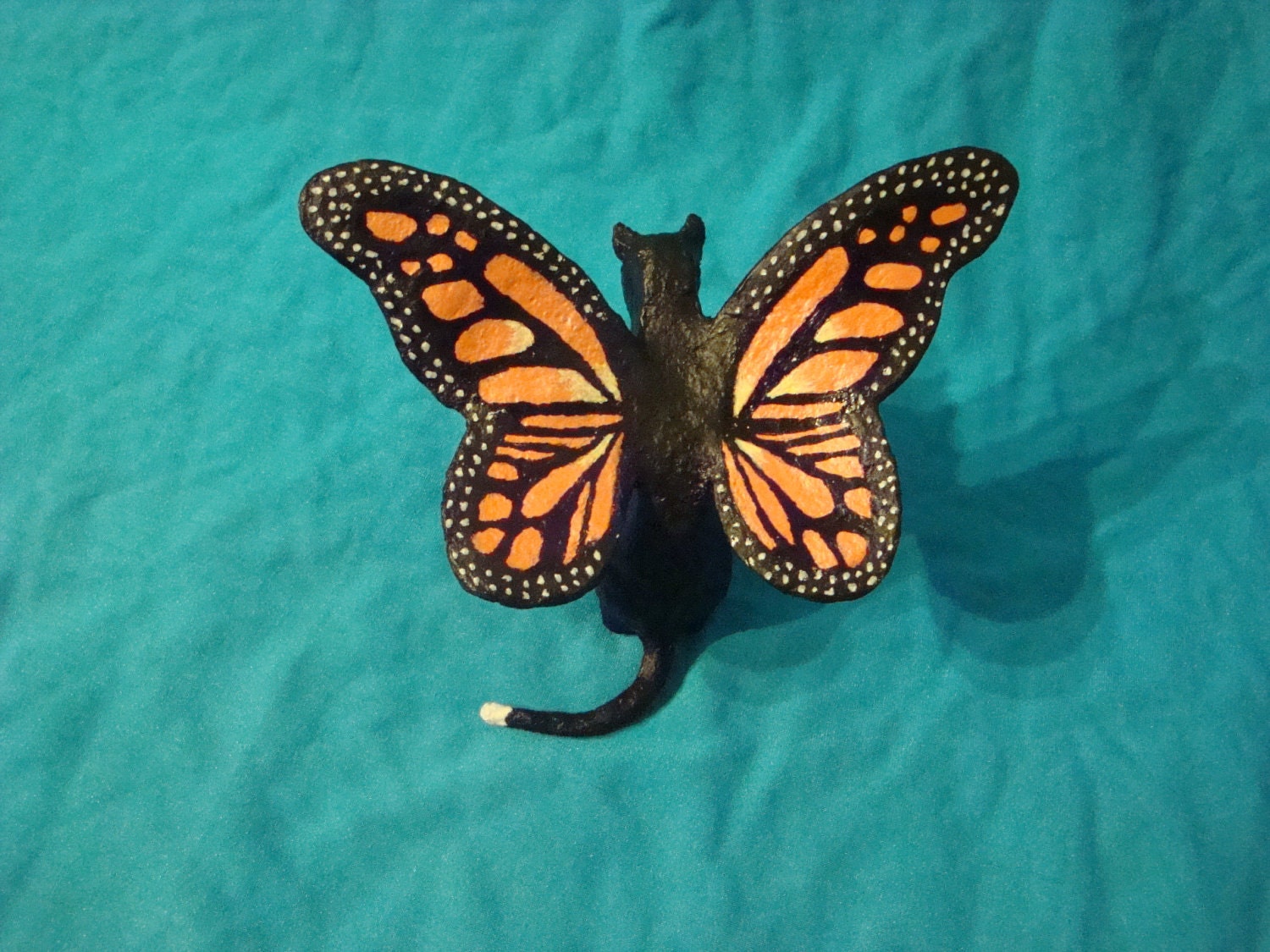 Cat Butterfly