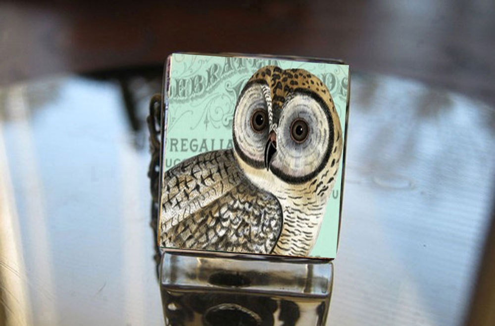 Glass Tile Adjustable Filigree Ring-Big Eyed Owl Collage Altered Bird Nature