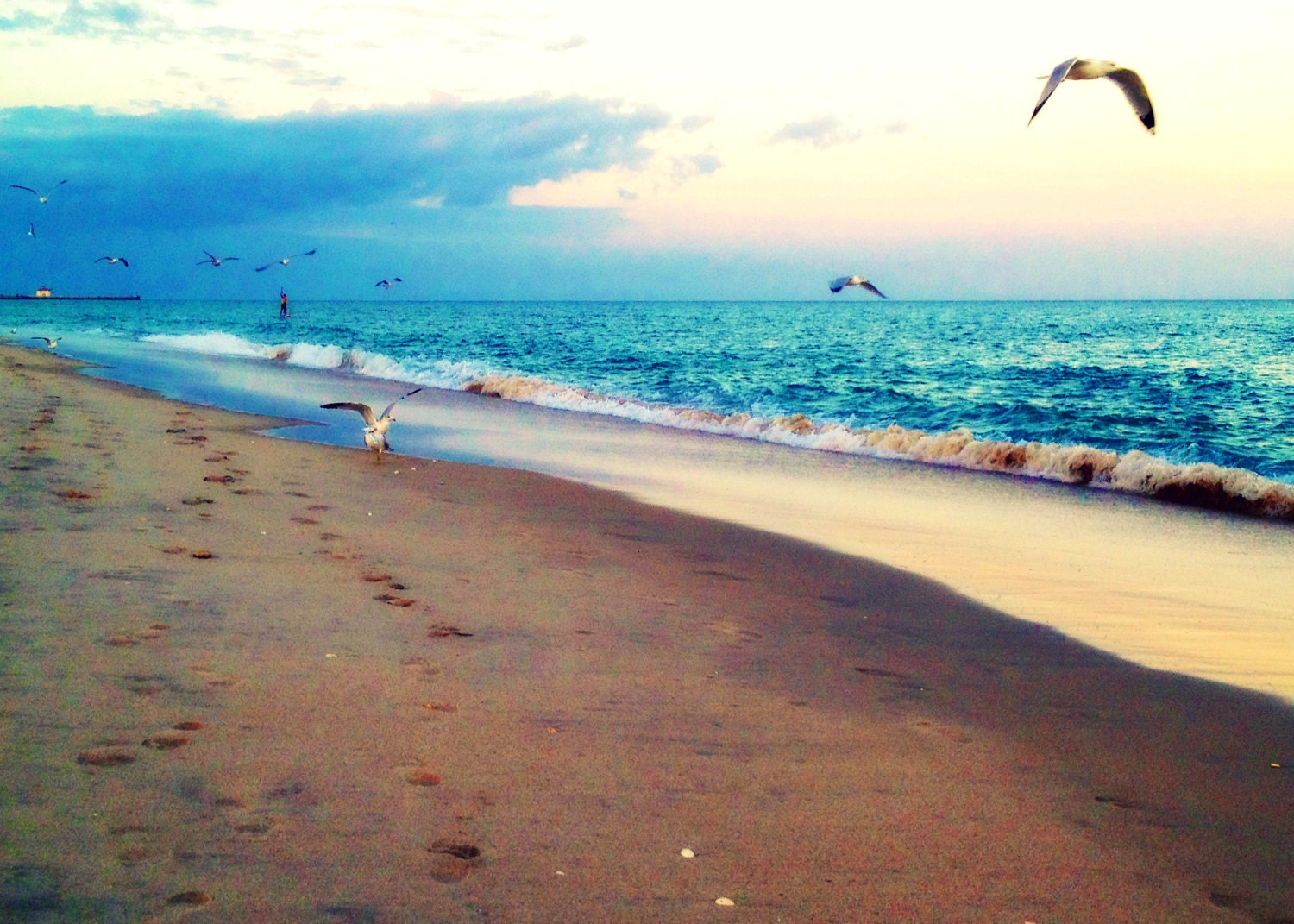 Seagulls and Peaceful Blue Ocean Waves at Sunset. Soft & Dreamy Beach Cottage Wall Art Decor Photography - Lotsa More Gulls