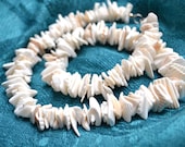 Vintage Shell Necklace - Seashell Necklace - Beach Jewelry - Ocean Mermaid