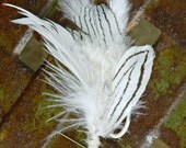 Boutonniere or hair clip in black and white feathers with silver wire