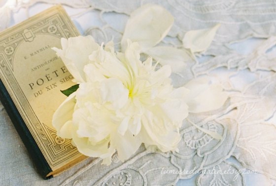 French romance Pastel ivory peonies film photo poetry white garden flowers  - Les pivoines Ã©tude N.2 -  fine art film print 8 x 12 - LumiereDuMatin