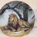 Big Cats of the World porcelain plate by Douglas Manning "African Shade"
