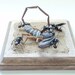 Oh Yeah, You and What Army, Scorpion Attacked By Ants