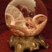Preserved Octopus Wet Specimen in Globe on Metal Base