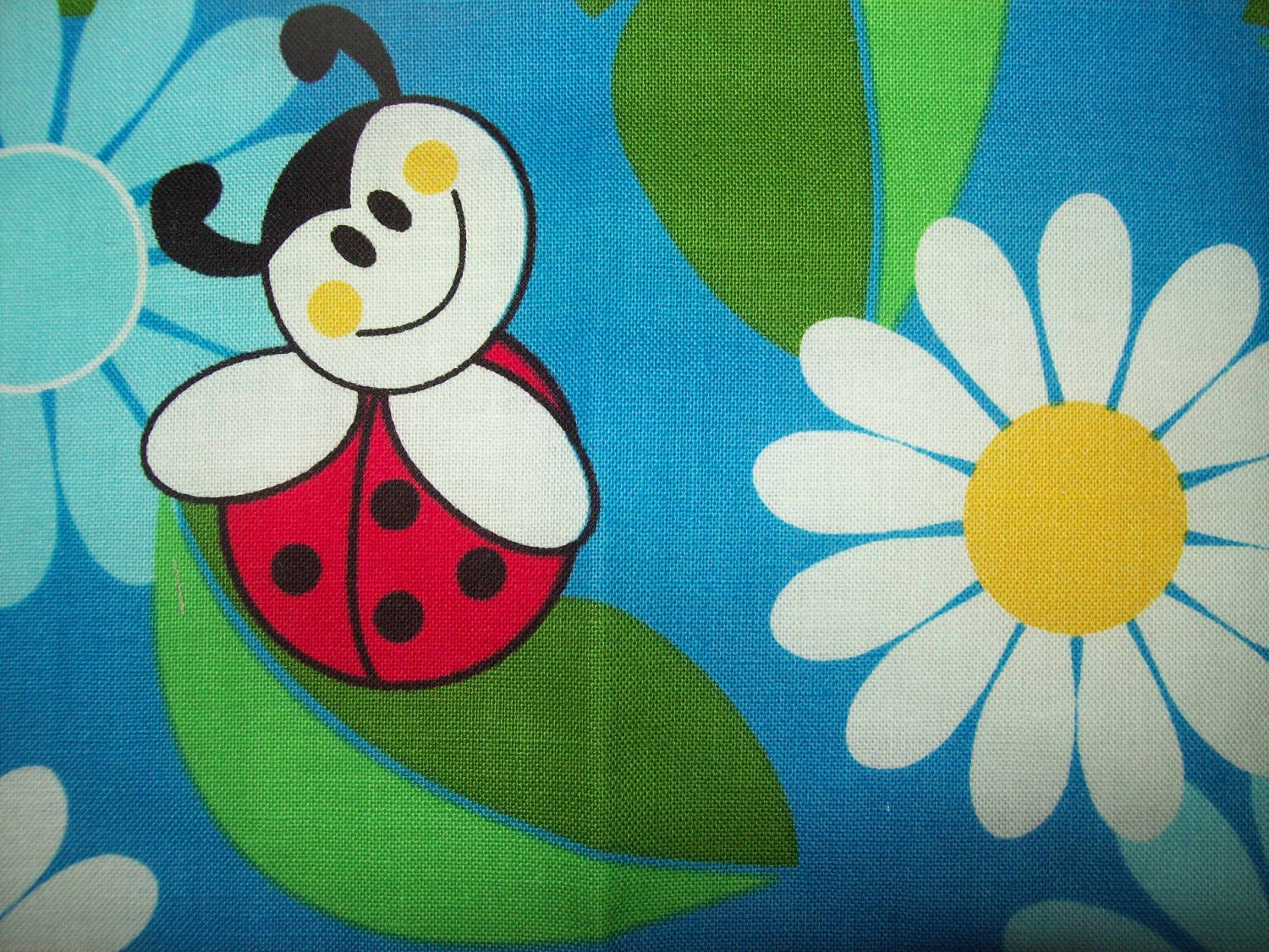 Girls ladybug capri set
