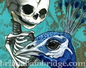 Baby skeleton hugging peacock 5x7 art print