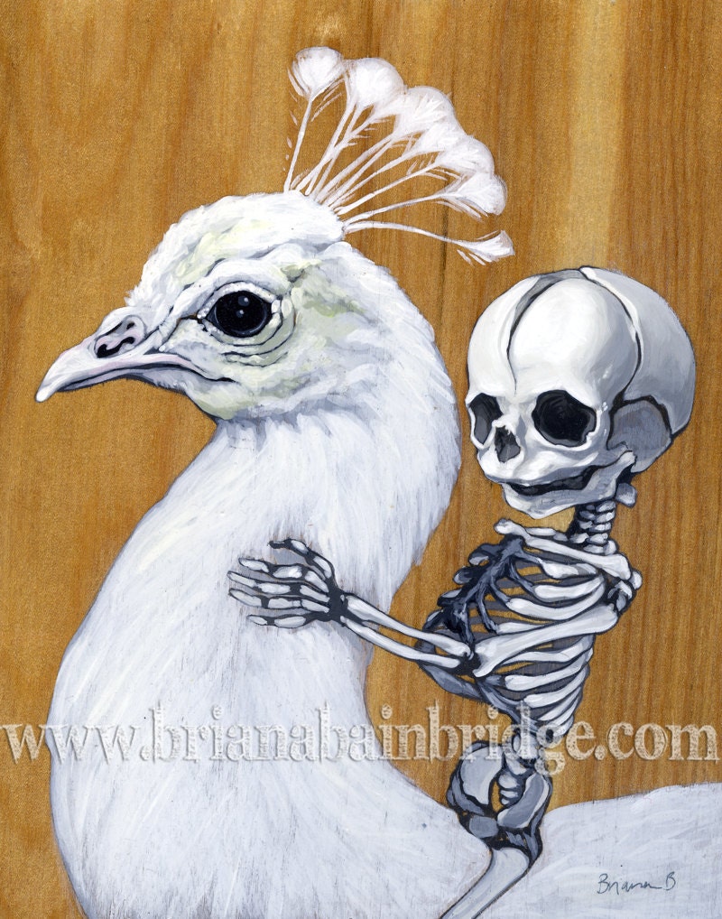 Memento Mori - Baby skeleton with white peacock. Signed print.