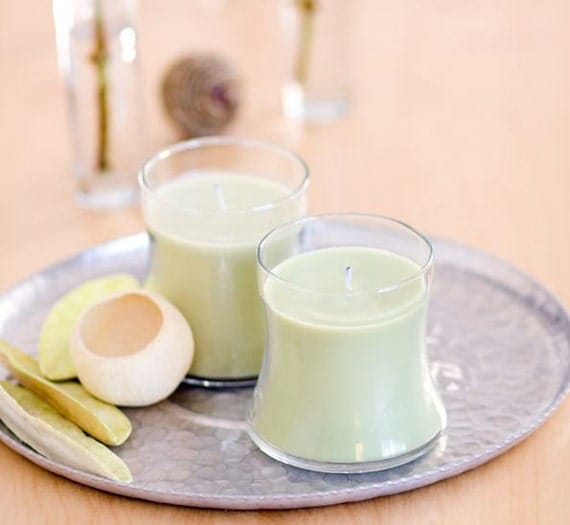 Coconut Lime 12 oz candle, container jar candle - clearance, 50% off