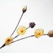 Set of 3 Narcissus Flowers Bobby Pins in Yellow and orange