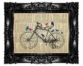 Retro Bicycle & Colorfull Birds Dictionary Art Print Prints Upcycled Book  Vintage Book Print  Vintage Book Page Buy 3 get 4th free