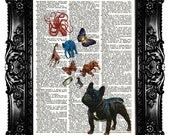 Daydream Dictionary Print  Upcycled Book  Art Prints Vintage Book Print  Vintage Book Page  Elephant Octopus Love Buy 3 get 4th free
